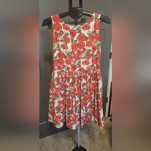 Anthropologie Sunday In Brooklyn Sleeveless Floral Rose Print  Dress Small